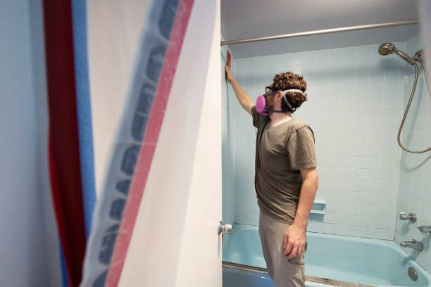 Reliable Waretown, NJ Mold Removal Solutions